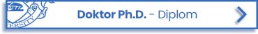 Doktor Ph.D.-Diplom im flexiblen Fernstudium bei BIU