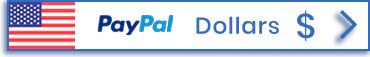 Online-Zahlung per PayPal in US-Dollar – BIU