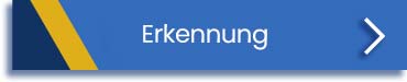 BIU-Anerkennung
